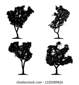 silhouette tree vector set on white background and icon isolated black forest collection