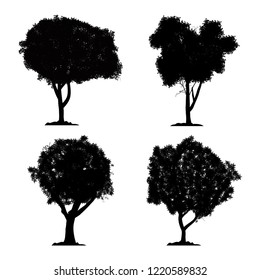 silhouette tree vector set on white background and isolated icon black forest collection