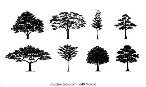 silhouette tree Vector in silhouettes set