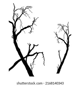 Silhouette of a tree whose leaves have run out leaving branches