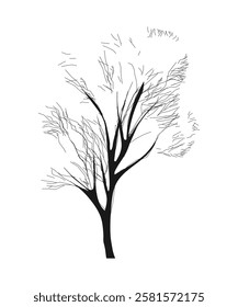 The silhouette of a tree. Winter. Vector. Plan. Landscape design