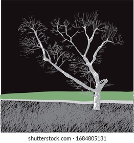 silhouette of a tree without foliage. graphic drawing.