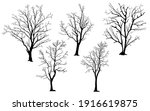 silhouette of tree without leaves