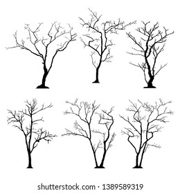silhouette of tree without leaves
