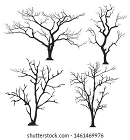 silhouette of tree without leaves