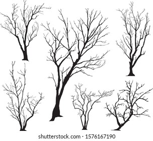 silhouette of tree without leaves