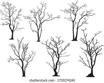 silhouette of tree without leaves