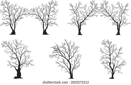 silhouette of tree without leaves