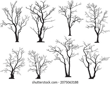 silhouette of tree without leaves