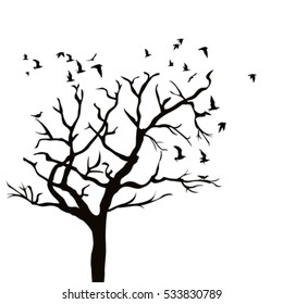 Silhouette of a tree without leaves and birds flying