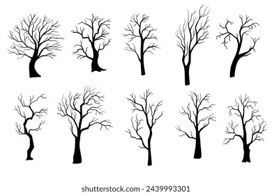 silueta de árbol sin hojas. Ilustraciones aisladas dibujadas a mano