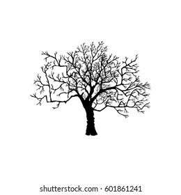  Silhouette Tree without Leaves Vector Illustration Sketched. A symbol, a tattoo. Decorative printing for clothes, covers. Label or postcard. Monochrome image, Ink drawing.