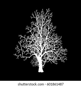  Silhouette Tree without Leaves Vector Illustration Sketched. A symbol, a tattoo. Decorative printing for clothes, covers. Label or postcard. Monochrome image, Ink drawing.