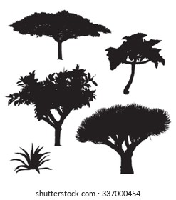 Silhouette of trees
