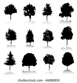 silhouette trees