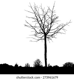 Silhouette of trees with bare branches - winter scenery - trees afar- landscape and black space for text - isolated - vector