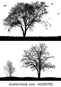 Silhouette of trees and birds on the white background.