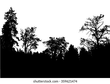 Silhouette of trees, bush with bare branches. Winter scenery trees - landscape and black space for text, isolated vector