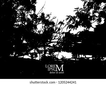 Silhouette of trees in the forest