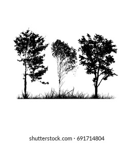 Silhouette of trees in the forest. Vector
