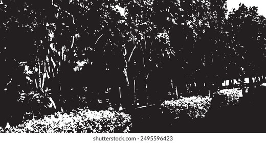 Silhouette trees in garden abstract background. Natural pattern and copy space or empty. white backgrounds