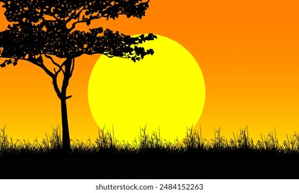 silhouette of trees and grass in the evening with sunset