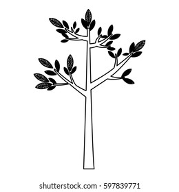 silhouette trees icon stock, vector illustration design image