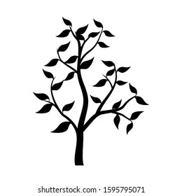 Silhouette of trees and leaves isolated on a white, vector background