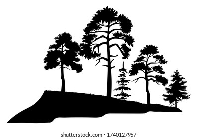 Silhouette of trees with leaves and spruces isolated on white background. Tall tree thick trunk crown at height on the mountaine or hill. Decorative vegetation of park or garden, forest plant outlines