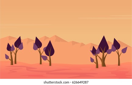 Silhouette of trees on desert scenery