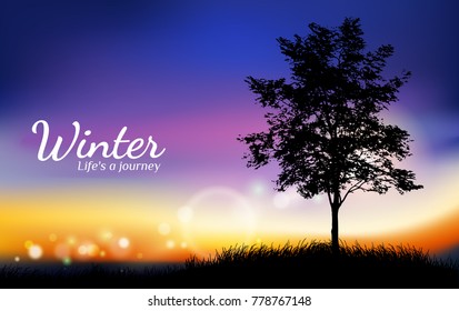 silhouette of tree,Twilight of nature.