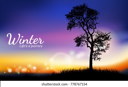 silhouette of tree,Twilight of nature.