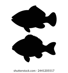 silhouette of tripletail fish on white