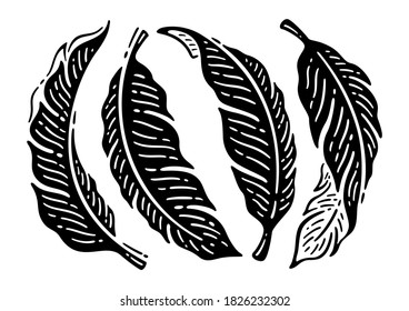 Silhouette tropical banana leaves set. Hand drawn doodles illustration.