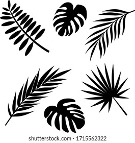 Silhouette of tropical leaf flowers. Set of vector illustrations. Tropical leaves