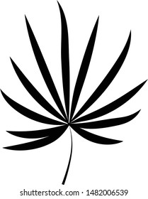Silhouette tropical leaf on white background vector illustration hand draw desing