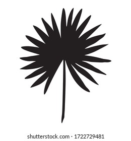 Silhouette tropischen Blattes. Vektorsymbol aus schwarz-weißem Palmenblatt. Design-Elemente perfekt für exotisches Design.
