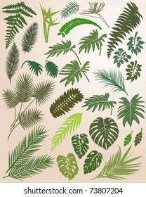 Silhouette of Tropical Leaves