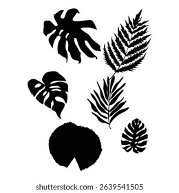 silhouette of tropical leaves with separate white background