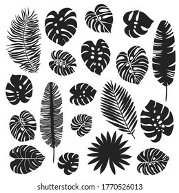 Silhouette of tropical leaves. Set vector illustration with palm, monstera, banana leaf. Jungle plants, monochrome shapes, natural floral surface design, isolated elements. Summer botanical graphic