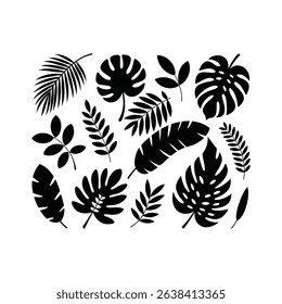 Silhouette Tropical Leaves Vector Jungle Plant Elements
