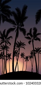 Silhouette of tropical palm with orange sun sunrise and blue sky background