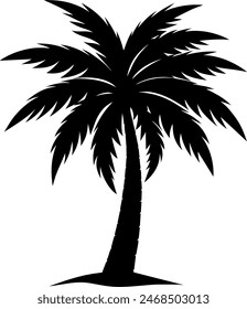 silhouette of a tropical palm tree