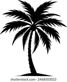 silhouette of a tropical palm tree