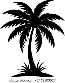 silhouette of a tropical palm tree