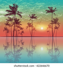 Silhouette of tropical palm trees  at sunset or sunrise, with cloudy sky . Highly detailed  and editable