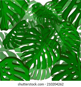 silhouette of a tropical tree with large leaves Monstera. seamless background. vector 