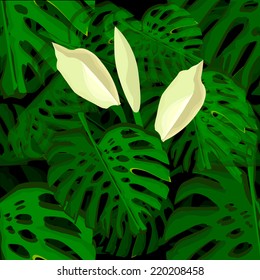 silhouette of a tropical tree with large leaves Monstera. seamless background. Vector