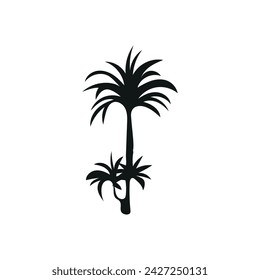 Silhouette of tropical tree on white background