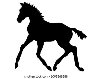 A silhouette of a trotting foal.